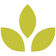 Leaf Icon